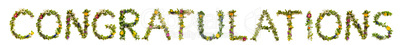 Flower And Blossom Letter Building Word Congratulations