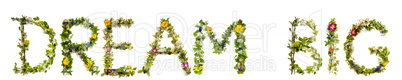 Flower And Blossom Letter Building Word Dream Big