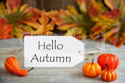 Label With Text Hello Autumn, Pumpkin And Leaves