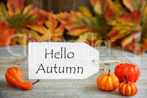 Label With Text Hello Autumn, Pumpkin And Leaves
