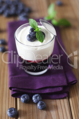 Blueberry Yogurt