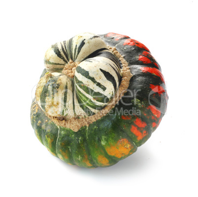 Turban Squash