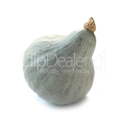 Blue Hubbard Squash