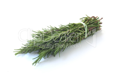 Rosemary