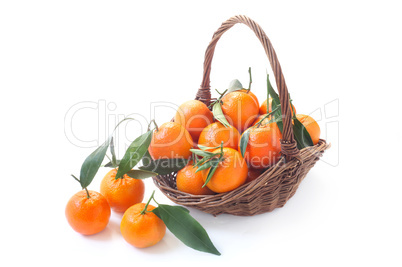 Tangerines