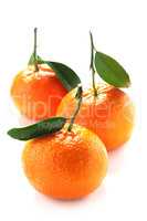 Tangerines