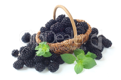 Blackberries