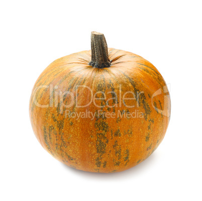 Oil Pumpkin