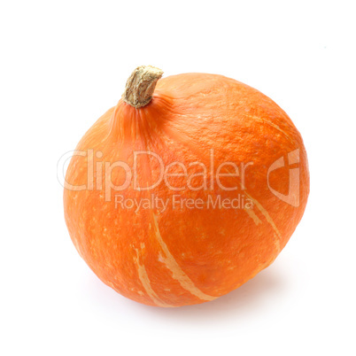 Hokkaido Pumpkin