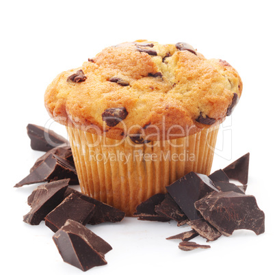 Chocolate Chip Muffin