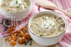 Chanterelle Soup