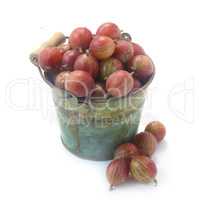 Red Gooseberries