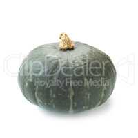 Kabocha Squash