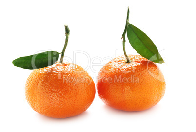 Tangerines