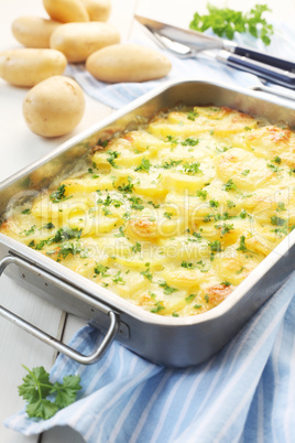 Potato Gratin