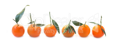 Tangerines