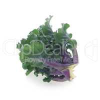 Purple Brussel Sprout