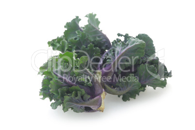 Purple Brussel Sprouts