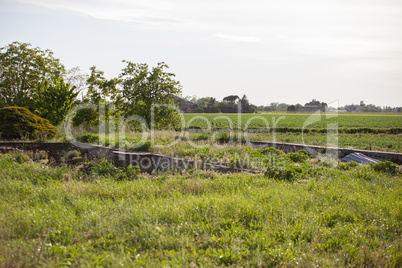 Rural garden in italy