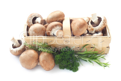 Raw Mushrooms