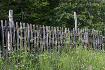 Old garden fence made of natural wooden planks