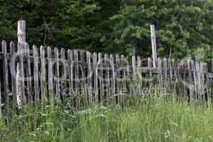 Old garden fence made of natural wooden planks