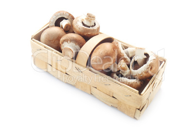 Raw Mushrooms