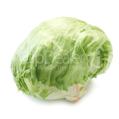 Iceberg Lettuce