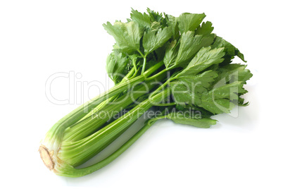 Stalk Celery