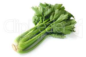 Stalk Celery