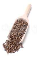 Coriander Seeds