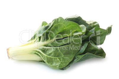 Chard