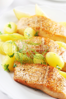 Fried Salmon