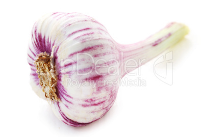 Garlic Garlic