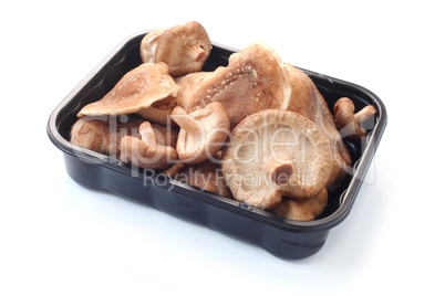 Shiitake Mushrooms