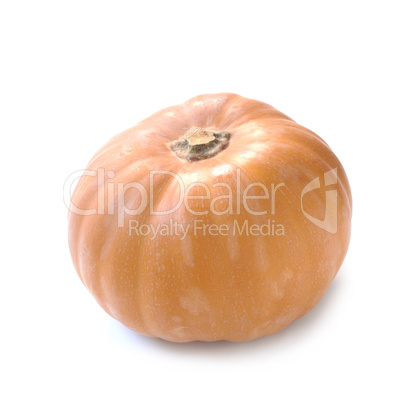 Muscat Pumpkin