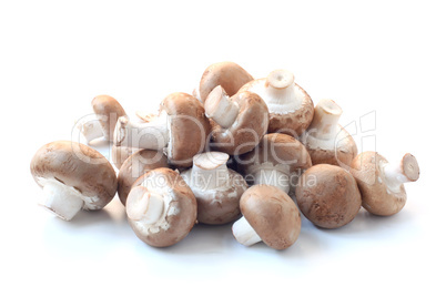 Raw Mushrooms