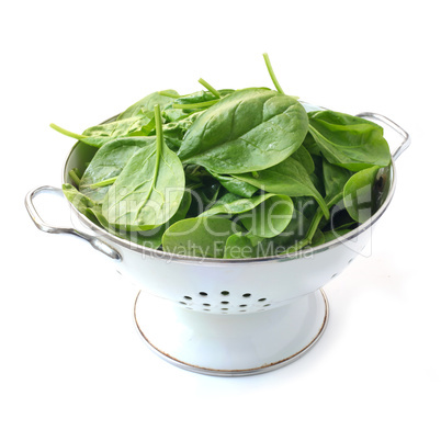 Spinach