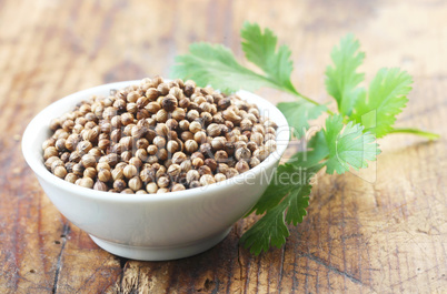 Coriander Seeds