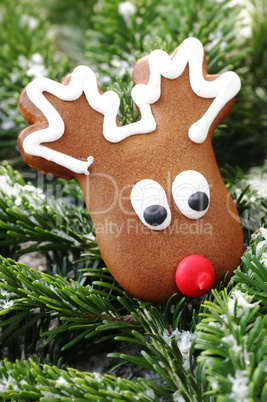 Gingerbread Reindeer
