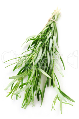 Rosemary