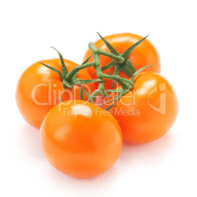 Orange Tomatoes