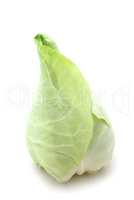 Oxheart Cabbage