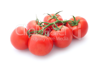 Tomatoes