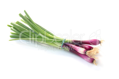 Red Spring Onions