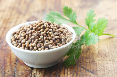 Coriander Seeds