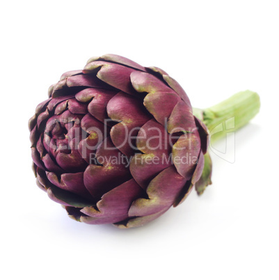 Artichoke