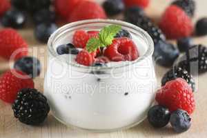 Berry Yogurt