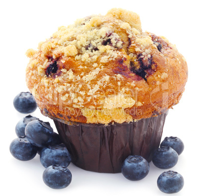 Blueberry Muffin