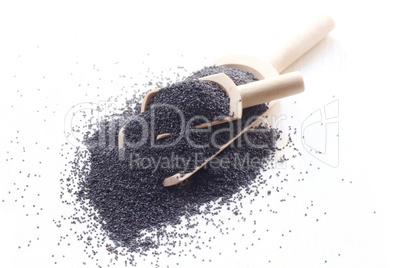 Poppy Seeds